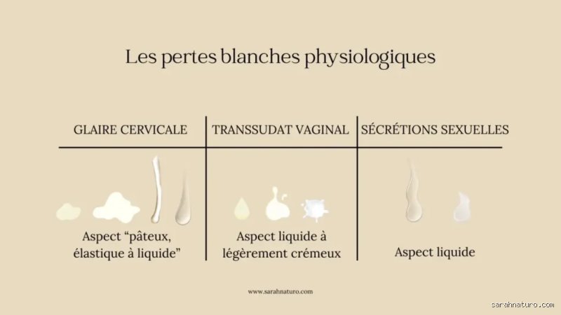 Est-ce normal qu'une fille soit mouillée tous les jours ? On lève enfin le voile sur les sécrétions vaginales quotidiennes