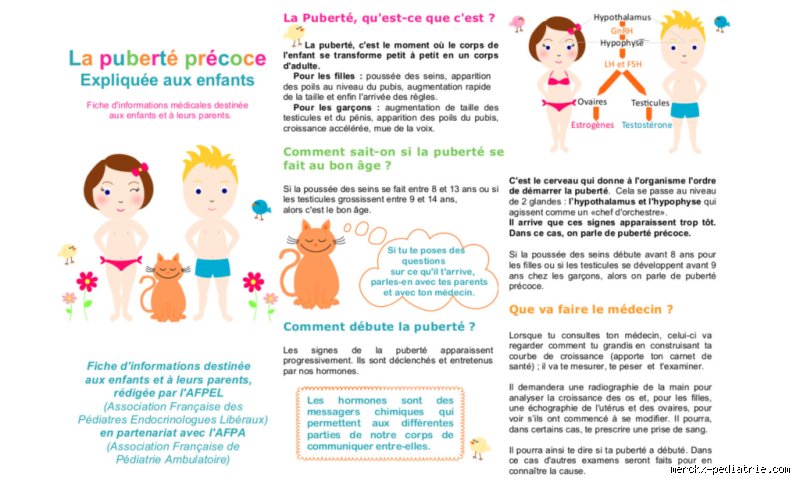 Est-ce que 8 ans, c'est trop tôt pour la puberté ? Le guide complet pour comprendre les nouveaux rythmes du corps