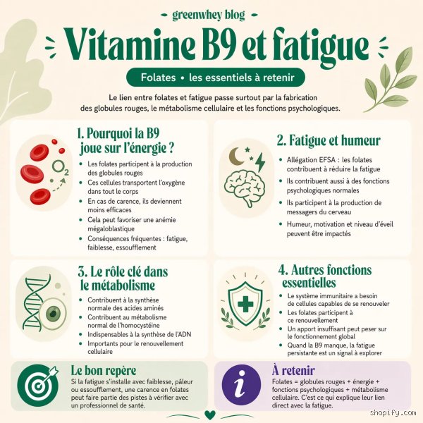 Est-ce que l'acide folique fatigue : la vérité cachée derrière cette vitamine courante
