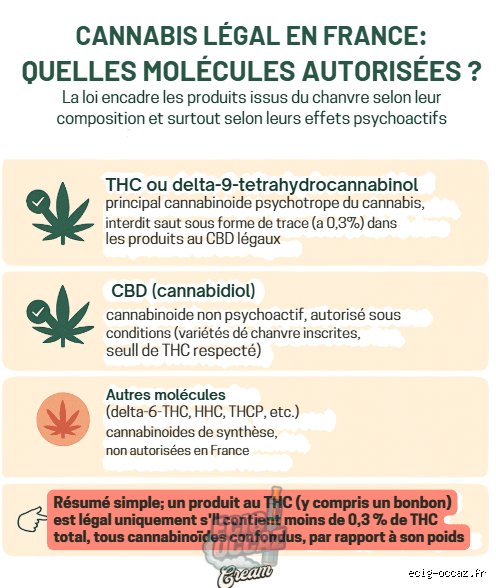 Est-ce que le CBD va être interdit ? Entre flou juridique persistant et nouveaux bras de fer européens