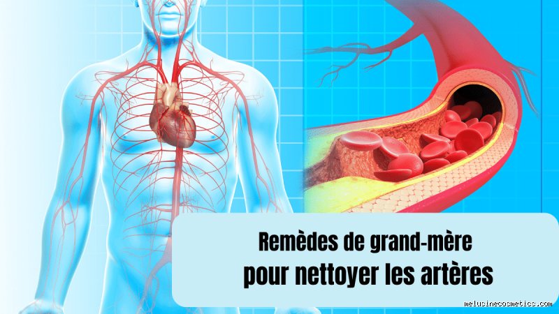 Est-ce que le jus de citron nettoie les artères ? La vérité scientifique derrière ce remède de grand-mère miracle