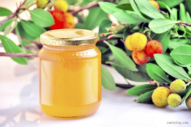 Est-ce que le miel nourrit les cellules cancéreuses ? Entre vérité biologique et fantasmes nutritionnels, le verdict des experts
