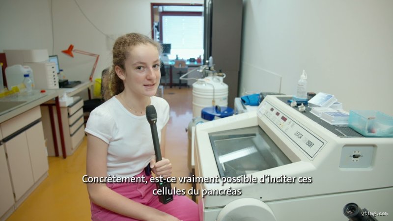 Est-ce que le pancréas se régénère ? Ce que la science moderne cache sous le tapis cellulaire