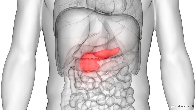 Est-ce que le stress agit sur le pancréas ? Ce que la science nous cache sur l’impact réel du cortisol