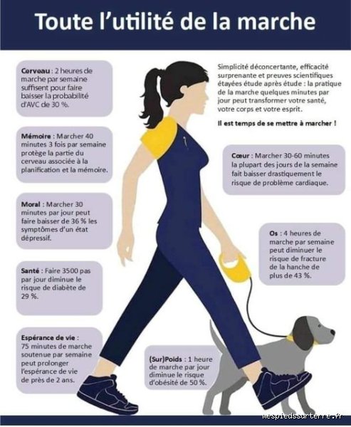 Est-ce que marcher tous les jours est bon pour la santé ou n’est-ce qu’une illusion de fitness urbain ?