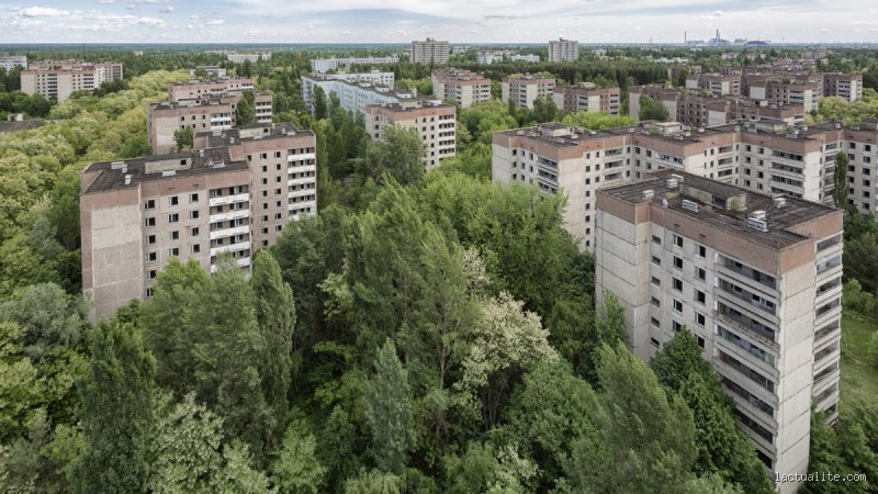 Est-il sûr de vivre à Tchernobyl ? La vérité brutale sur la zone d’exclusion quarante ans plus tard