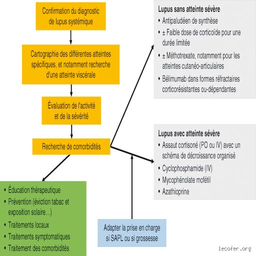 Facteur déclenchant lupus ? Pourquoi votre système immunitaire pète les plombs du jour au lendemain