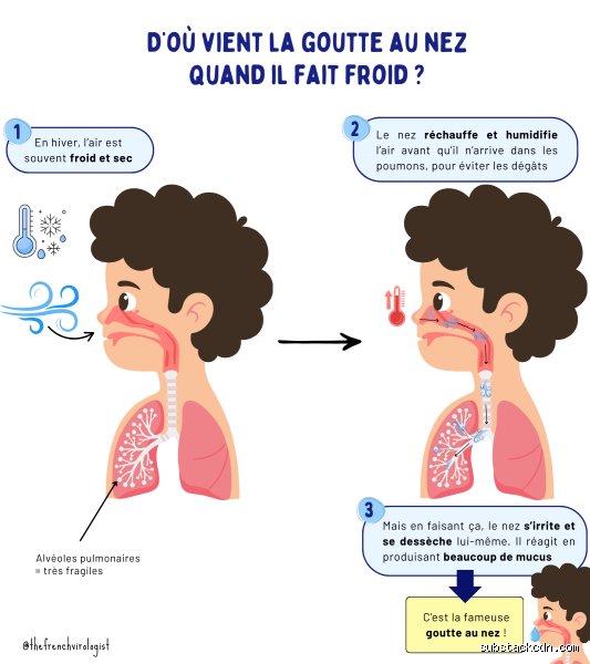 L'air froid peut-il déclencher un rhume ? Vérités scientifiques et mécanismes biologiques derrière ce vieux mythe de grand-mère