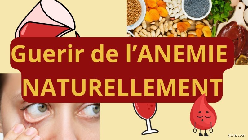 L'anémie peut-elle être guérie définitivement ? Entre réalités médicales, réminiscences génétiques et solutions durables pour vos globules rouges