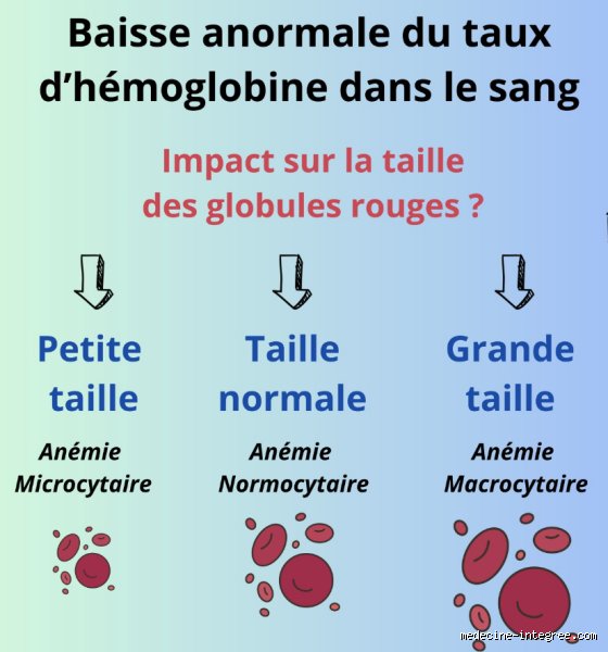 L'anémie peut-elle s'aggraver rapidement ? Comprendre les mécanismes d'une chute brutale du taux d'hémoglobine