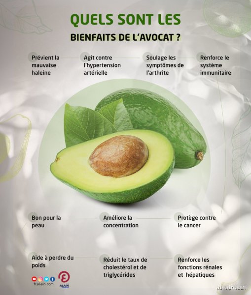 L’avocat est-il bon pour le pancréas ?