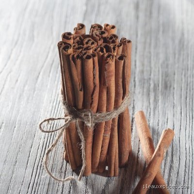 La cannelle est-elle bonne pour le pancréas ? Ce que la science révèle enfin sur cette épice millénaire