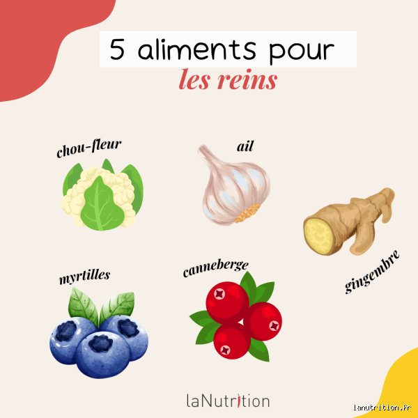 La carotte est-elle bonne pour la créatinine ?