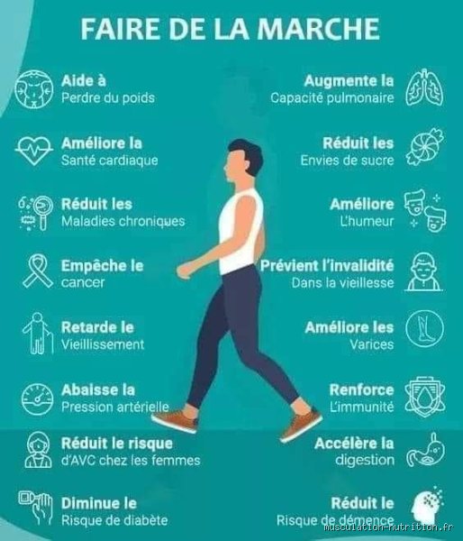 La marche quotidienne peut-elle réduire la graisse abdominale  ?