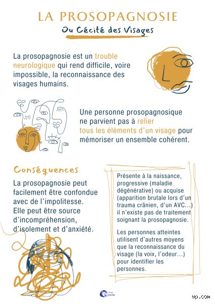 La prosopagnosie est-elle guérissable ? Entre espoirs scientifiques, rééducation neurologique et réalités cliniques en 2026