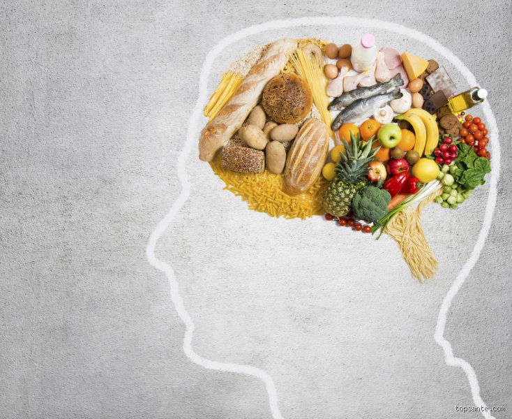Le cerveau brûle-t-il des graisses ? La vérité biologique derrière la consommation énergétique de notre boîte noire