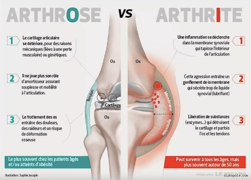 Le corps peut-il se guérir lui-même d'une inflammation ? Vérités scientifiques et limites biologiques d'une machine d'autoguérison fascinante