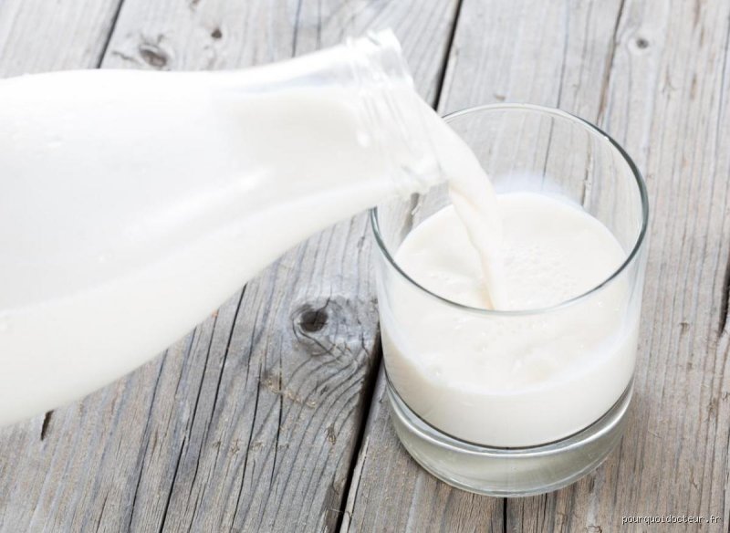Le lait augmente-t-il le cholestérol ? Ce que la science nous cache entre le verre et l'artère