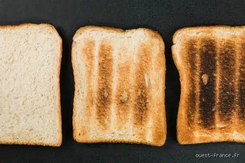 Le pain grillé est-il bon pour le cholestérol ou s'agit-il d'une fausse bonne idée nutritionnelle ?