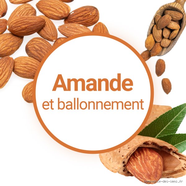 Les amandes peuvent-elles provoquer une inflammation articulaire ? Analyse d'un paradoxe nutritionnel méconnu