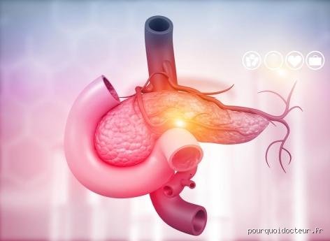 Les analyses de sang permettent-elles de détecter les problèmes de pancréas ? Le guide complet pour décrypter vos résultats biologiques