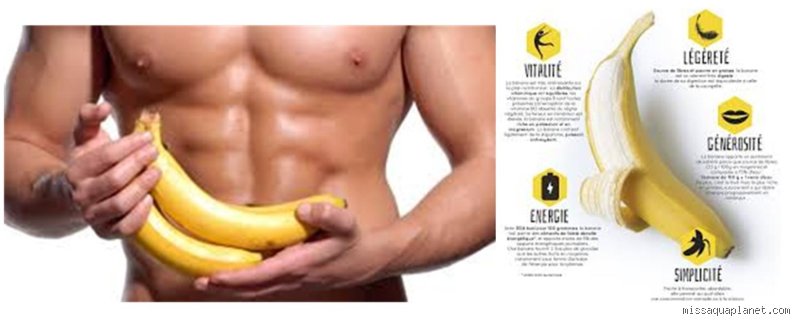 Les bananes sont-elles efficaces pour nettoyer les artères ? Vérités scientifiques et fantasmes nutritionnels derrière ce fruit tropical