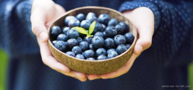 Les cardiologues déconseillent-ils de manger des myrtilles ? Enquête sur un paradoxe nutritionnel inattendu