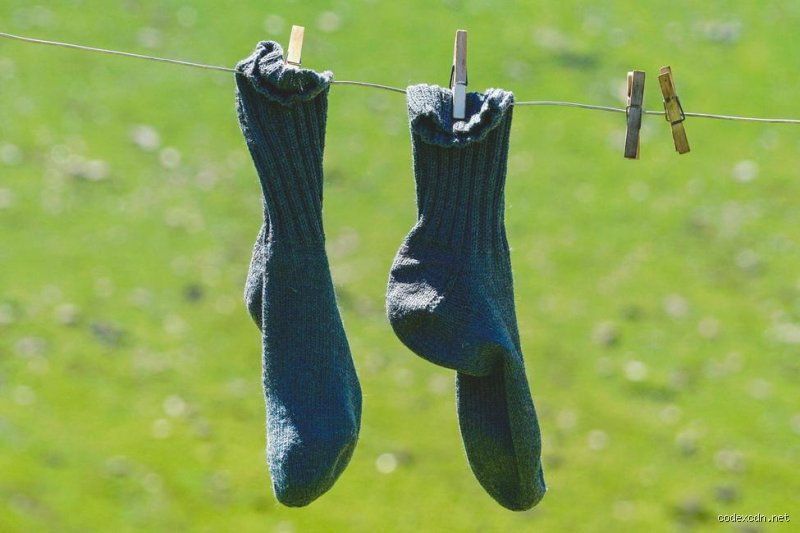 Les champignons peuvent-ils survivre dans les chaussettes après lavage ? Le verdict inquiétant des microbiologistes sur votre linge