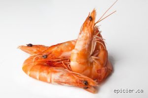Les crevettes peuvent-elles faire baisser le cholestérol ? Ce que la science révèle enfin sur ce crustacé mal-aimé