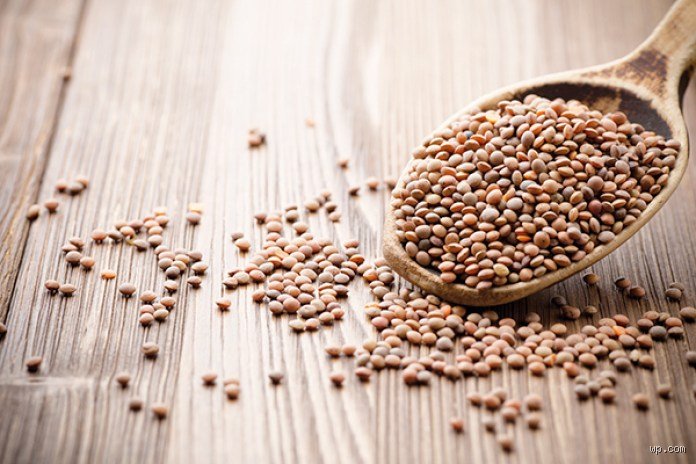 Les lentilles sont-elles mauvaises pour les diabétiques ? Ce que la science cache derrière le mythe des glucides