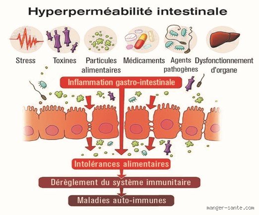 Les lésions hépatiques peuvent-elles provoquer le syndrome du côlon irritable ? Ce que la science nous cache sur l'axe foie-intestin