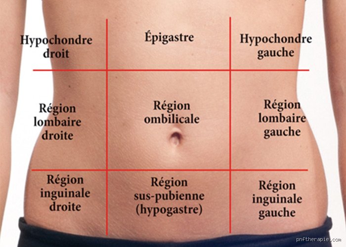 Où as-tu mal quand on a le côlon irritable ? Comprendre enfin la cartographie de vos douleurs intestinales