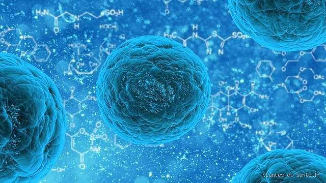 Peut-on guérir d'une infection sans antibiotique ? Ce que la science et votre système immunitaire disent vraiment