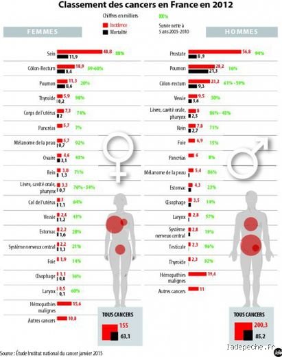 Pire cancer à avoir ? Analyse de la létalité et des réalités cliniques derrière les statistiques