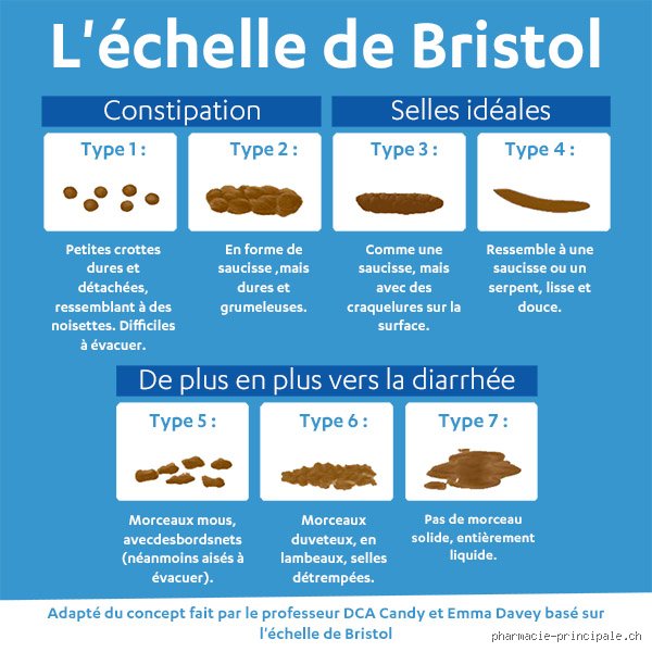 Pourquoi ai-je des petites selles ? Comprendre ce symptôme embarrassant et retrouver un transit fluide