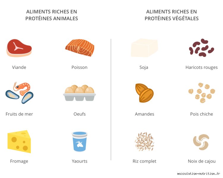 Pourquoi est-ce que je ne perds pas de poids si je brûle 1000 calories par jour ?