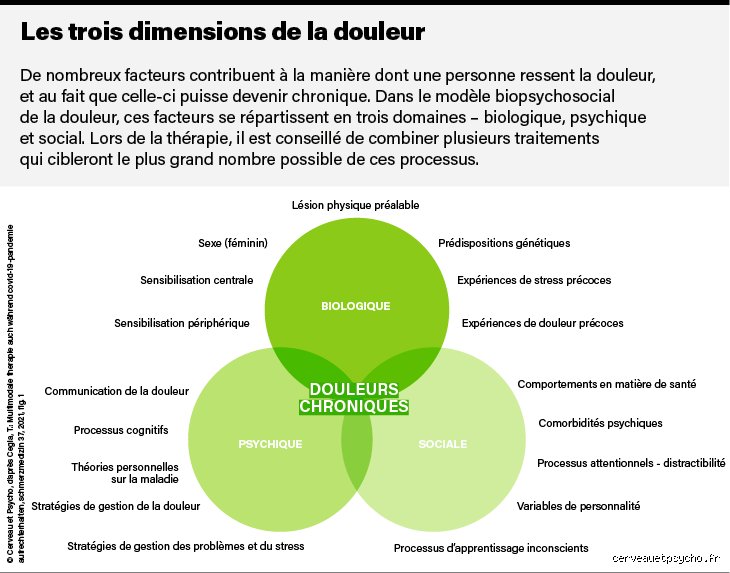 Pourquoi je supporte pas la douleur : décryptage complet d'une hypersensibilité physique au quotidien