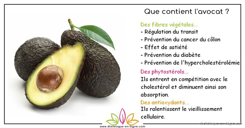 Pourquoi l’avocat est-il bon pour le diabète ? Ce que la science nous cache sur ce gras magique