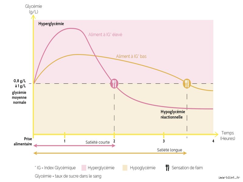Pourquoi la glycémie augmente-t-elle après le petit-déjeuner ? Comprendre enfin les mécanismes de l'hyperglycémie postprandiale matinale