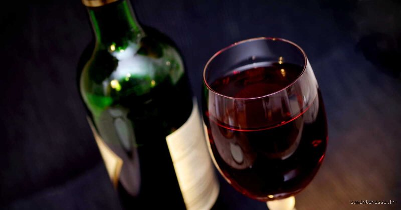 Pourquoi le vin fait baisser la glycémie ? Enquête sur les mécanismes cachés derrière votre verre de rouge