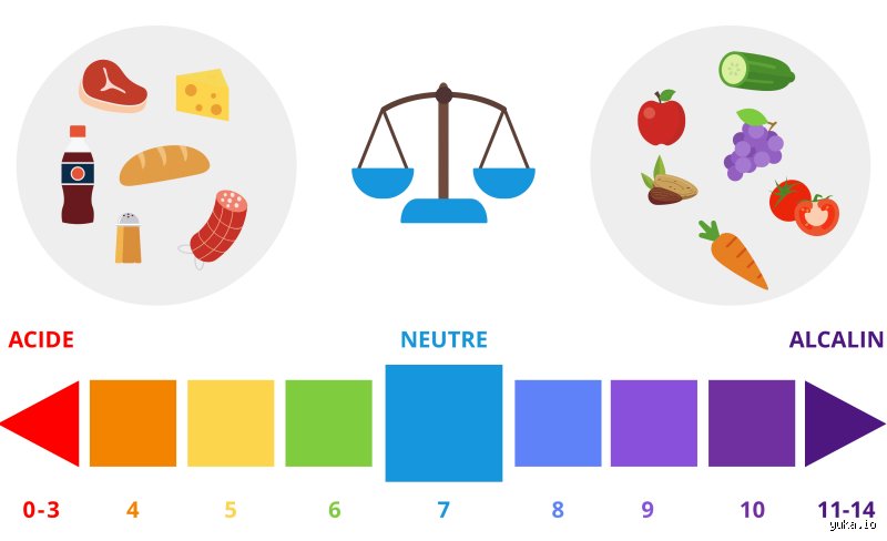 Pourquoi mon corps me paraît-il acide ? Comprendre les mécanismes réels de l’équilibre acido-basique pour retrouver sa vitalité