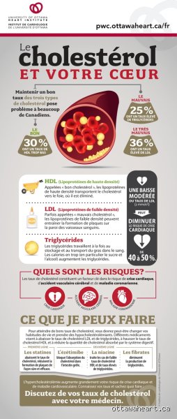 Pourquoi mon taux de LDL est-il soudainement si élevé ? Comprendre cette hausse brutale qui affole vos analyses