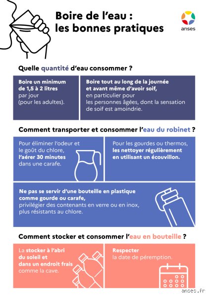Pourquoi ne faut-il pas boire de l'eau filtrée ? Les dangers cachés et les vérités que les fabricants de carafes vous cachent