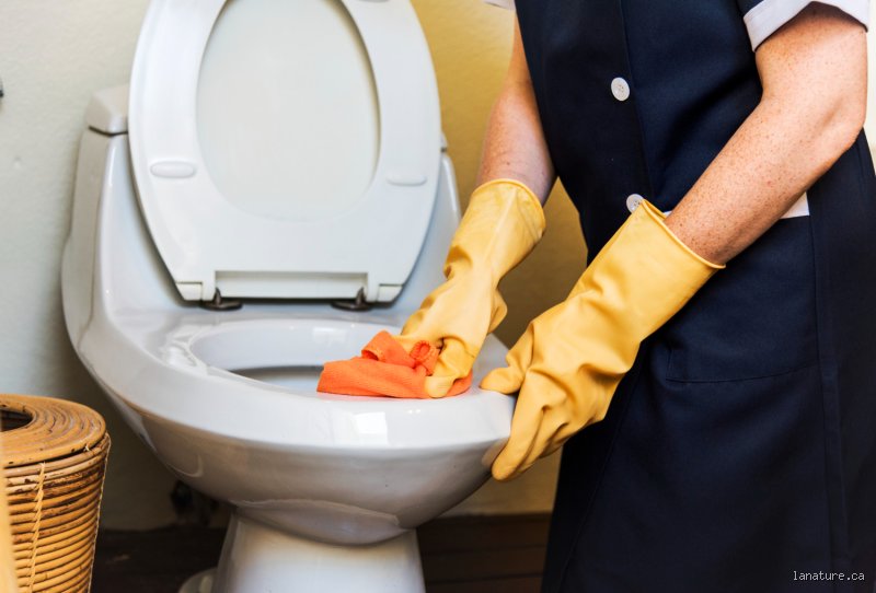 Pourquoi ne peut-on pas utiliser les toilettes après qu'une personne soit sous chimiothérapie : le guide complet sur la sécurité domestique