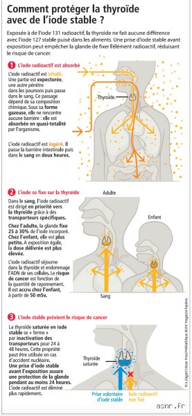 Pourquoi prendre de l'iode 127 en cas de fuite radioactive : le guide pour comprendre la protection de votre thyroïde