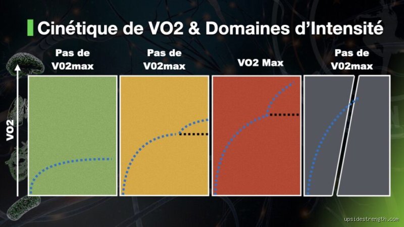 Pourquoi VO2 max faible ?
