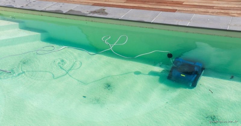 Puis-je me baigner si l'eau de ma piscine est verte ? Le guide sans détour pour éviter les risques sanitaires