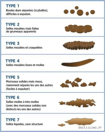 Qu'est-ce que la règle des 3 selles ? Comprendre enfin la norme médicale du transit intestinal normal