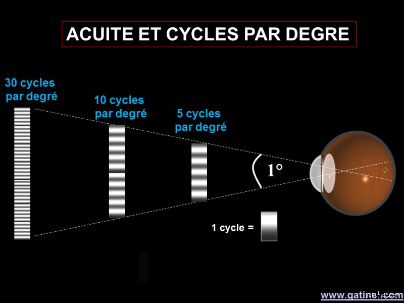 Qu'est-ce que la règle des 30-30-30 pour les yeux et pourquoi est-elle en train de détrôner la célèbre méthode 20-20-20 ?