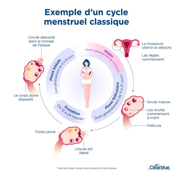 Qu'est-ce que les règles ? Comprendre enfin ce phénomène biologique qui rythme la vie de la moitié de l'humanité